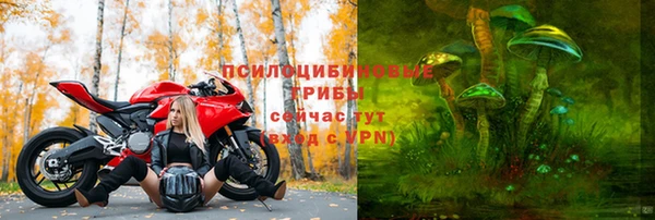 соль ск Зеленокумск