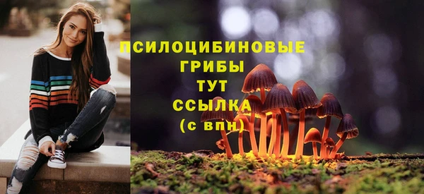ПСИЛОЦИБИНОВЫЕ ГРИБЫ Россошь